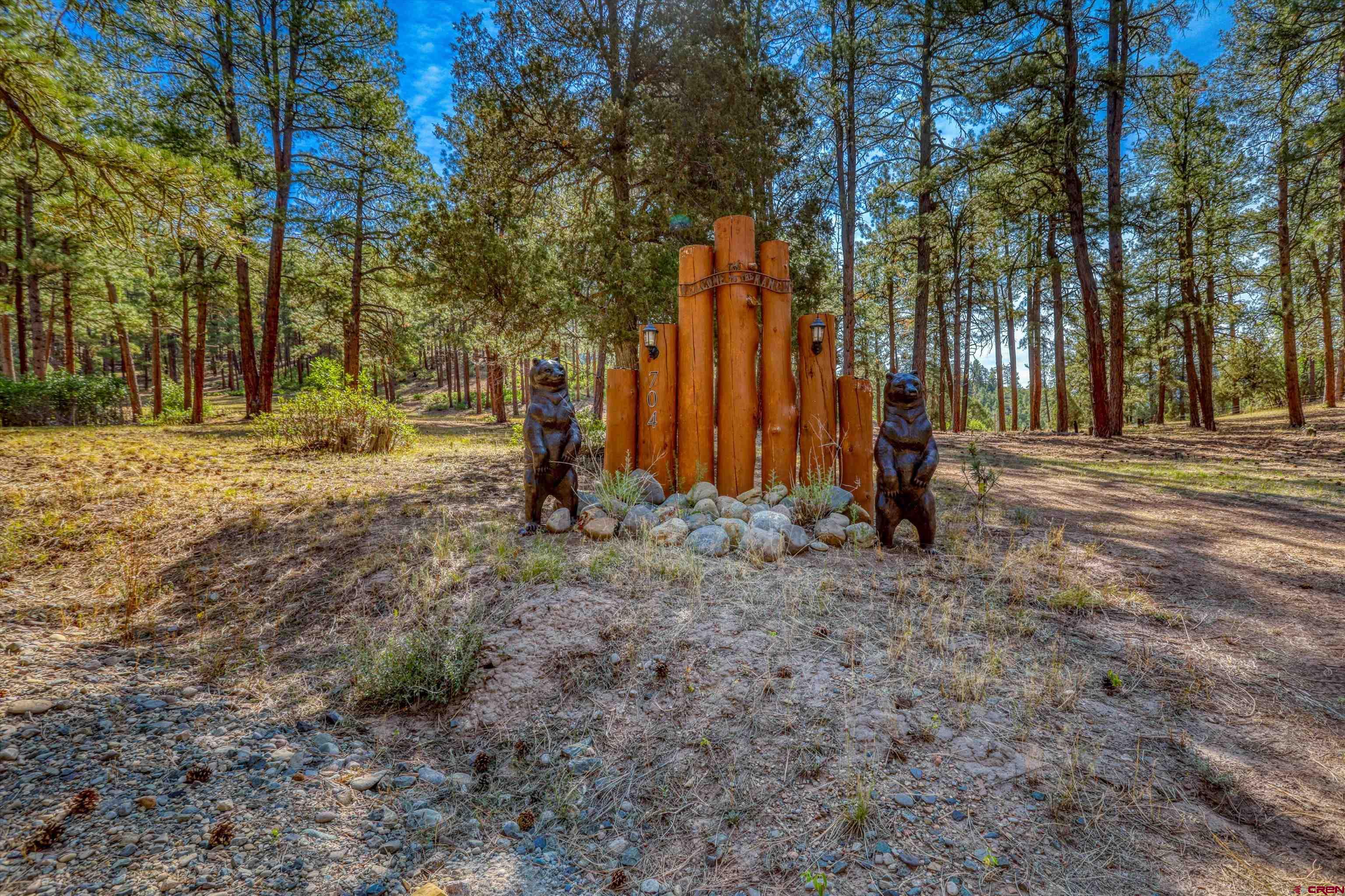 704 Two Bear Road Pagosa Springs, CO 81147 - Photo 4 of 41