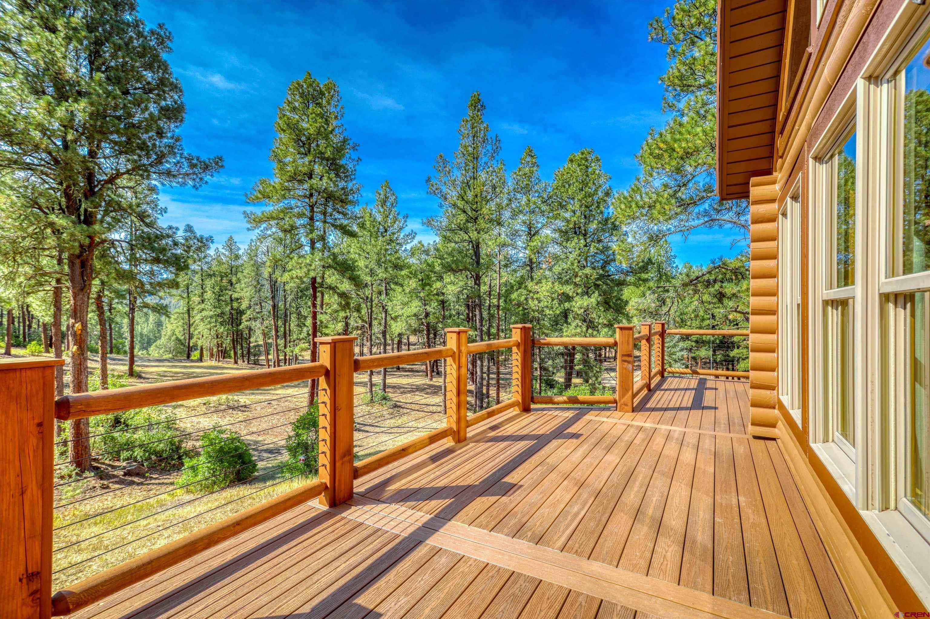 704 Two Bear Road Pagosa Springs, CO 81147 - Photo 5 of 41