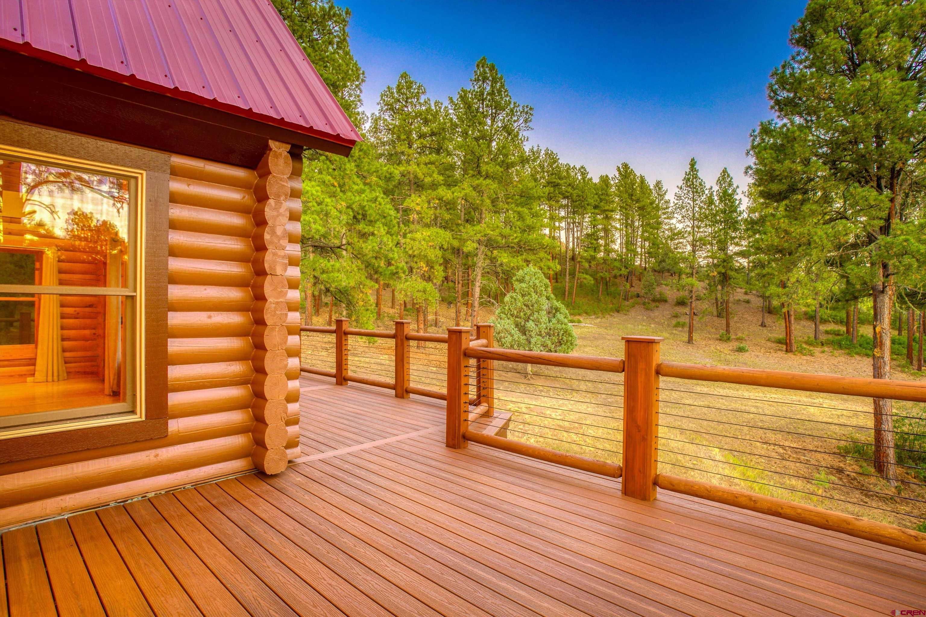 704 Two Bear Road Pagosa Springs, CO 81147 - Photo 6 of 41