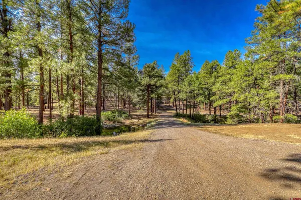 a view of a yard with trees on both side of it