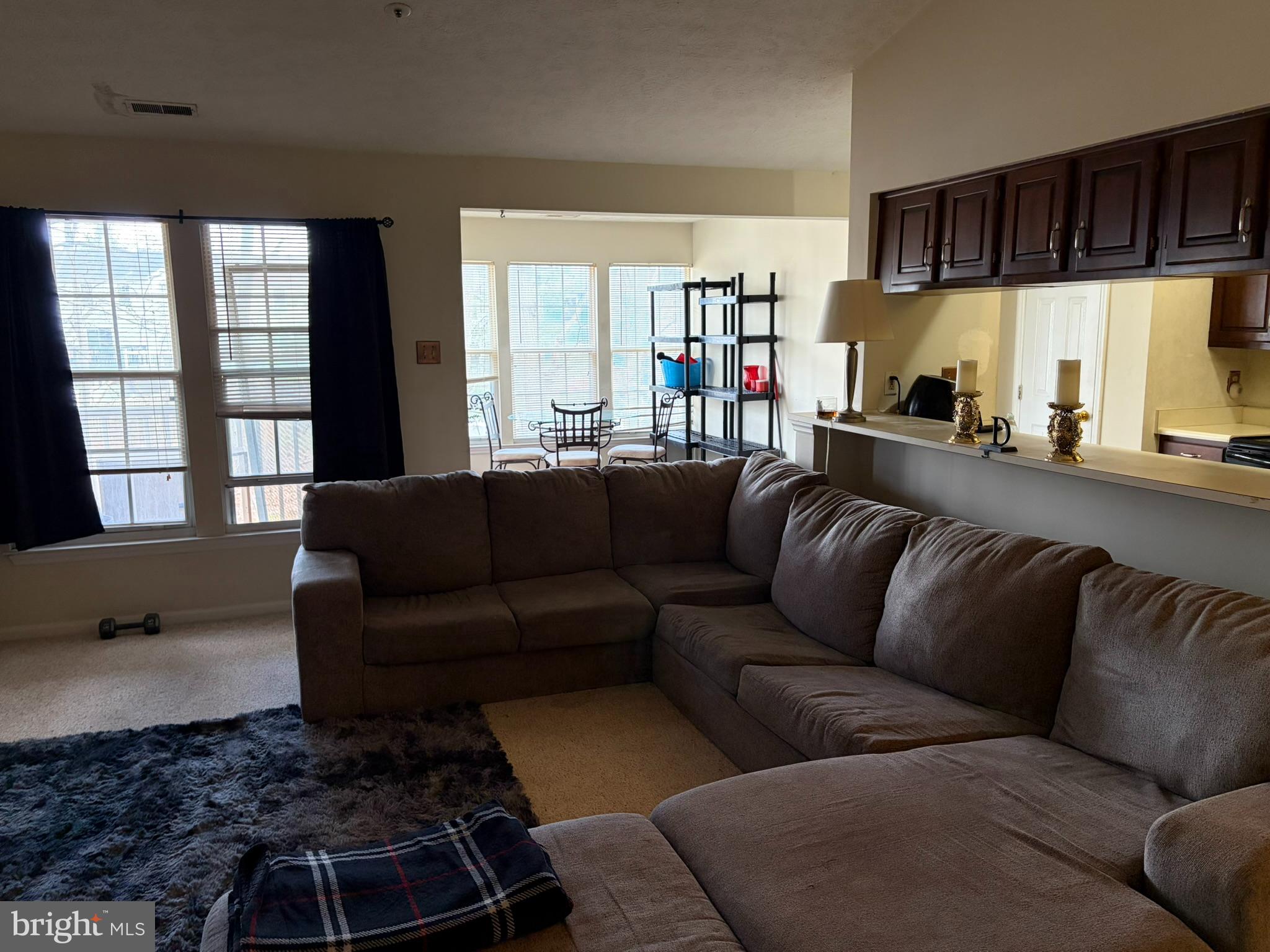 1305 Clover Valley Way, Unit 1305 Edgewood, MD 21040 - Photo 18 of 44 a living room with furniture and a potted plant