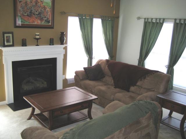 239 Spring Crossing Circle Greer, SC 29650 - Photo 3 of 7