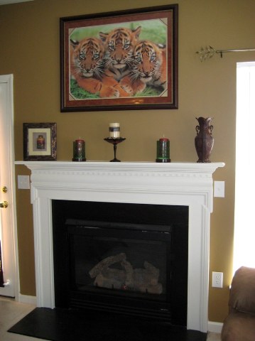 239 Spring Crossing Circle Greer, SC 29650 - Photo 4 of 7