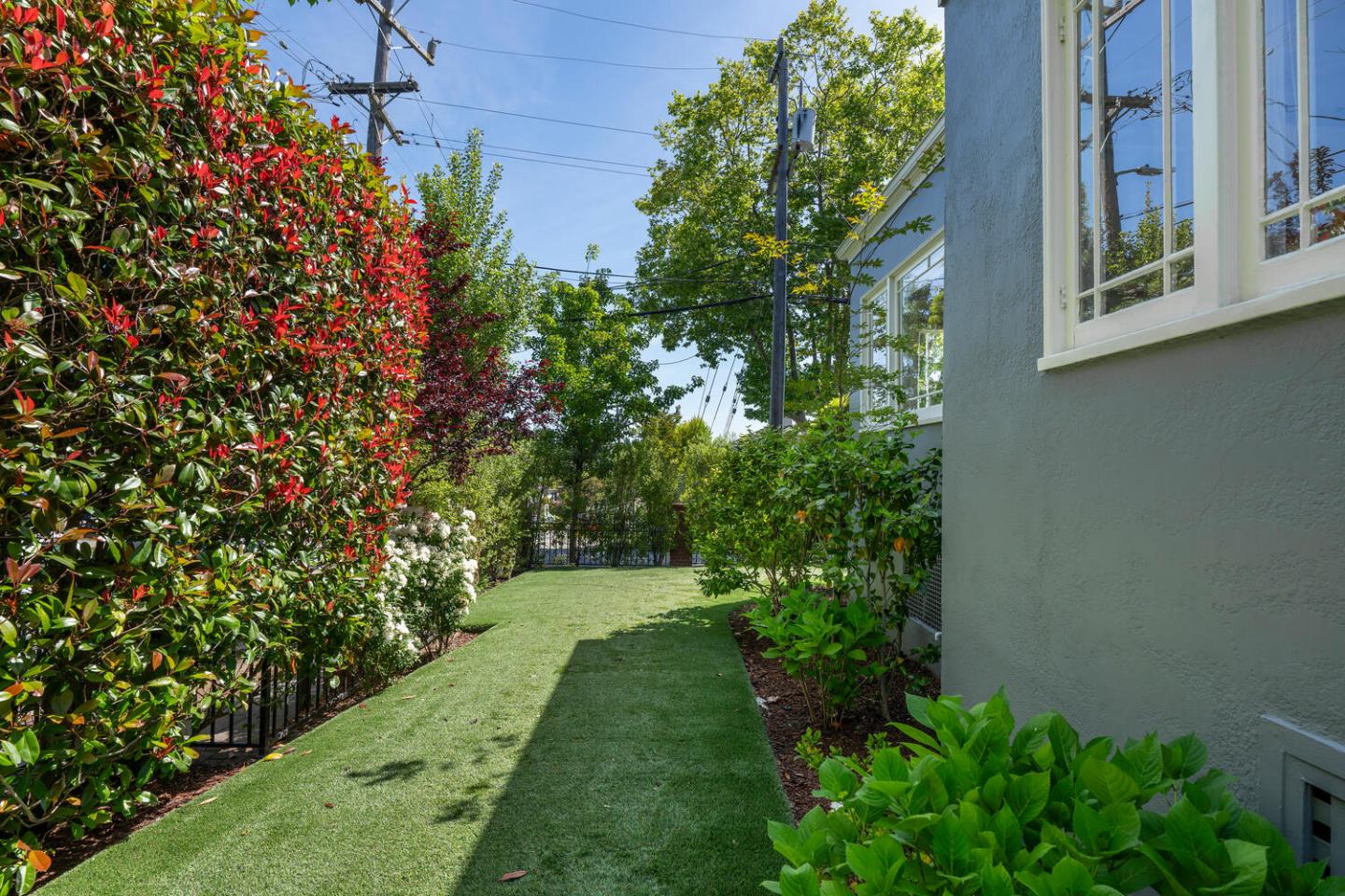 841 Fairfield Road Burlingame, CA 94010 - Photo 24 of 25 a view of a yard with plants
