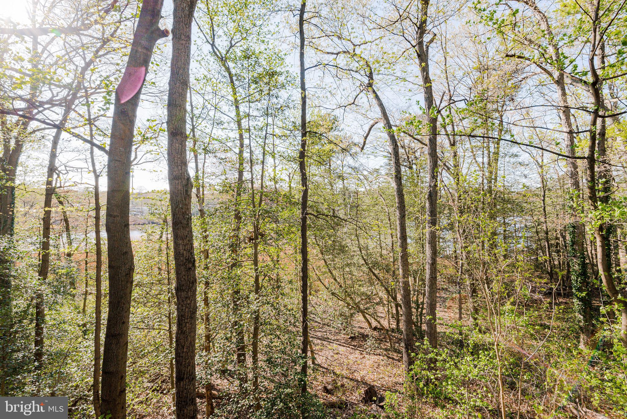 812 Creek View Road Severna Park, MD 21146 - Photo 13 of 68 Views!