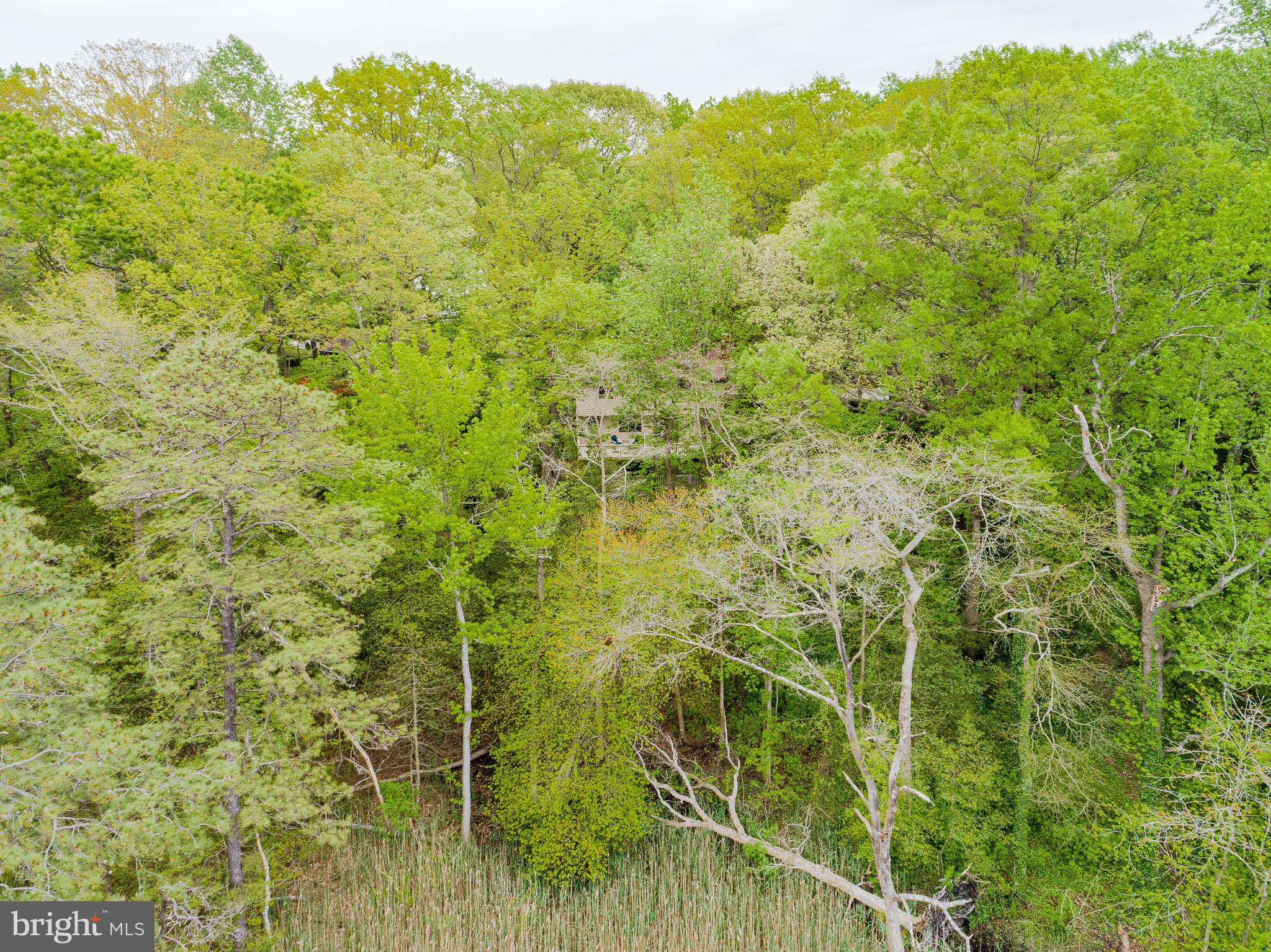 812 Creek View Road Severna Park, MD 21146 - Photo 23 of 68 Gallery Image 23