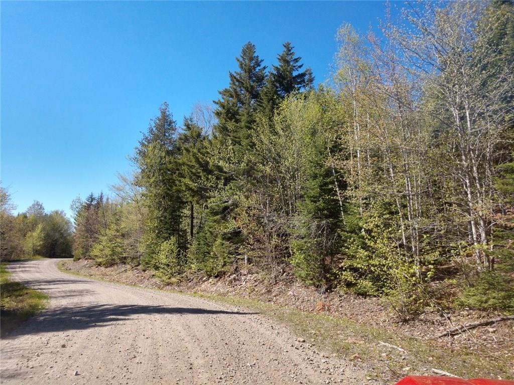 Off-645 Off-645 Howard Lake Road Robbinston, ME 04671 - Photo 8 of 20 Photo