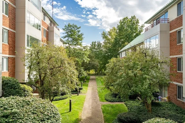 a view of a large yard with plants and large trees