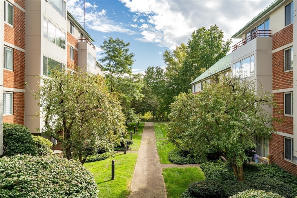 183 Oak Street, Unit 307 Newton, MA 02464 - Photo 22 of 24 a view of a large yard with plants and large trees