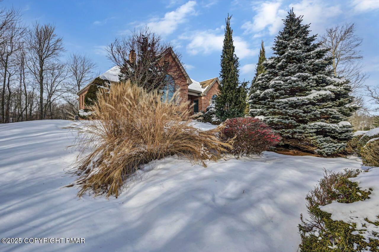 235 Wolf Hollow Road Lake Harmony, PA 18624 - Photo 88 of 96 a view of a yard with plants and trees