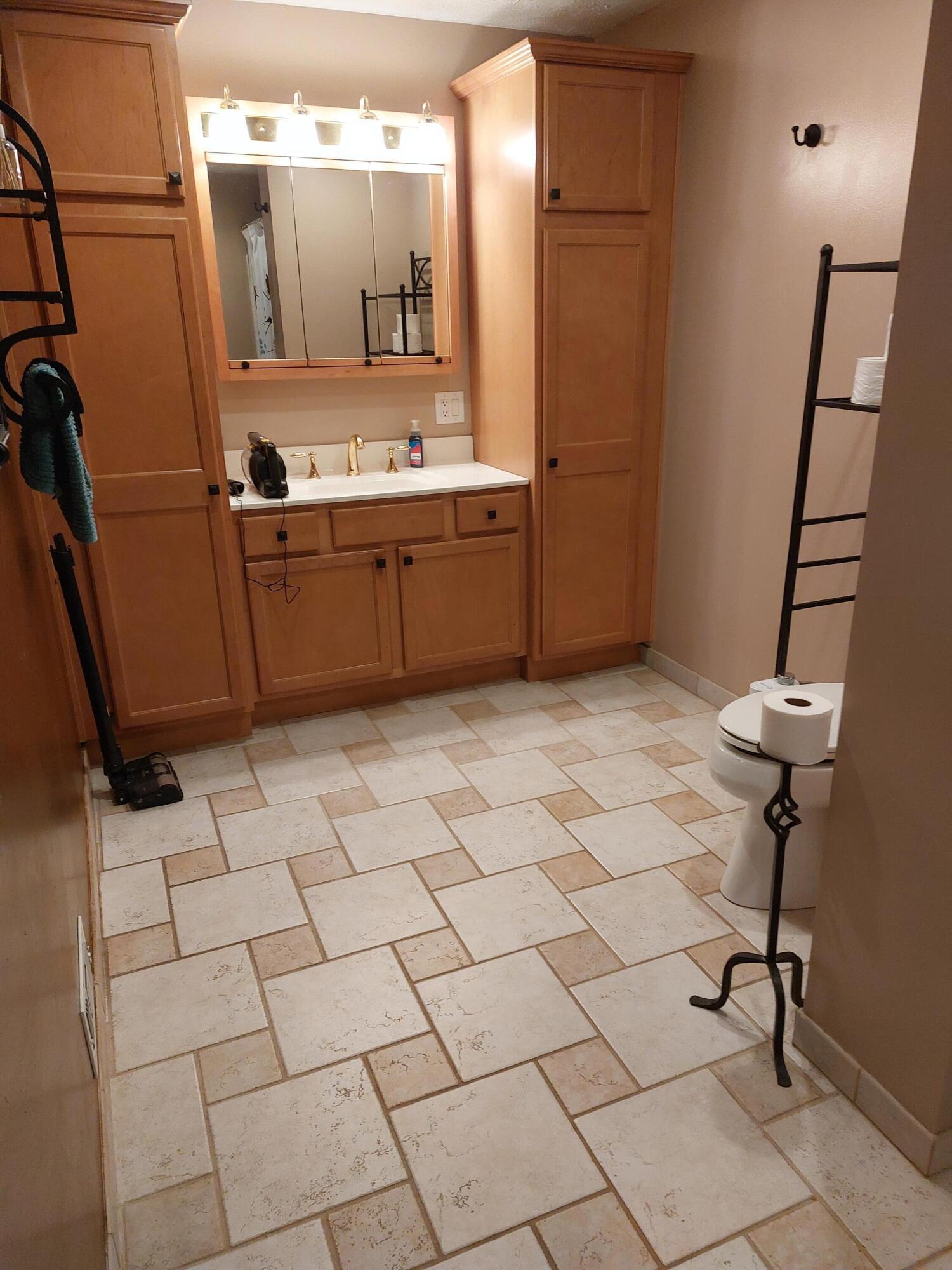 23546 Struwin Road Battle Creek, MI 49017 - Photo 16 of 18 23546 Struwin first floor bathroom