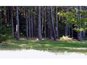 0 Rowell Hill Road New London, NH 03273 - Photo 1 of 2