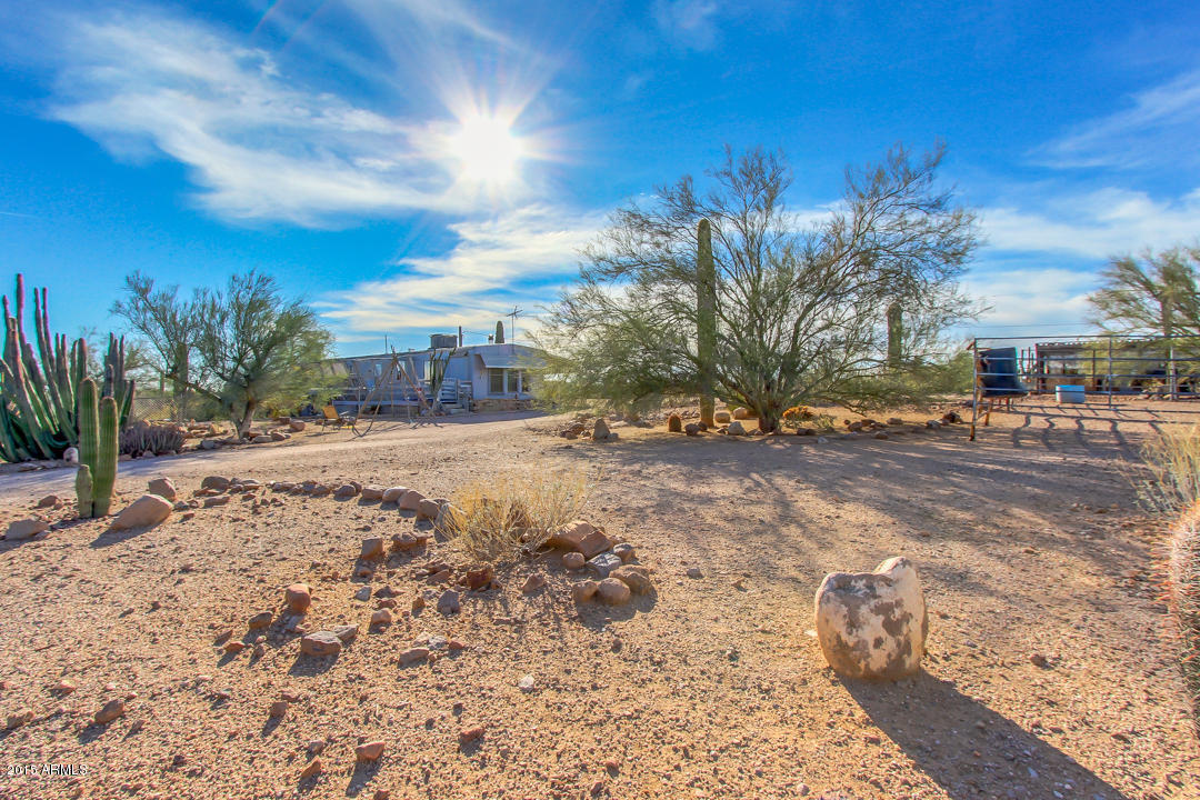 178 North Starr Road Apache Junction, AZ 85119 - Photo 9 of 41 a view of road with large trees