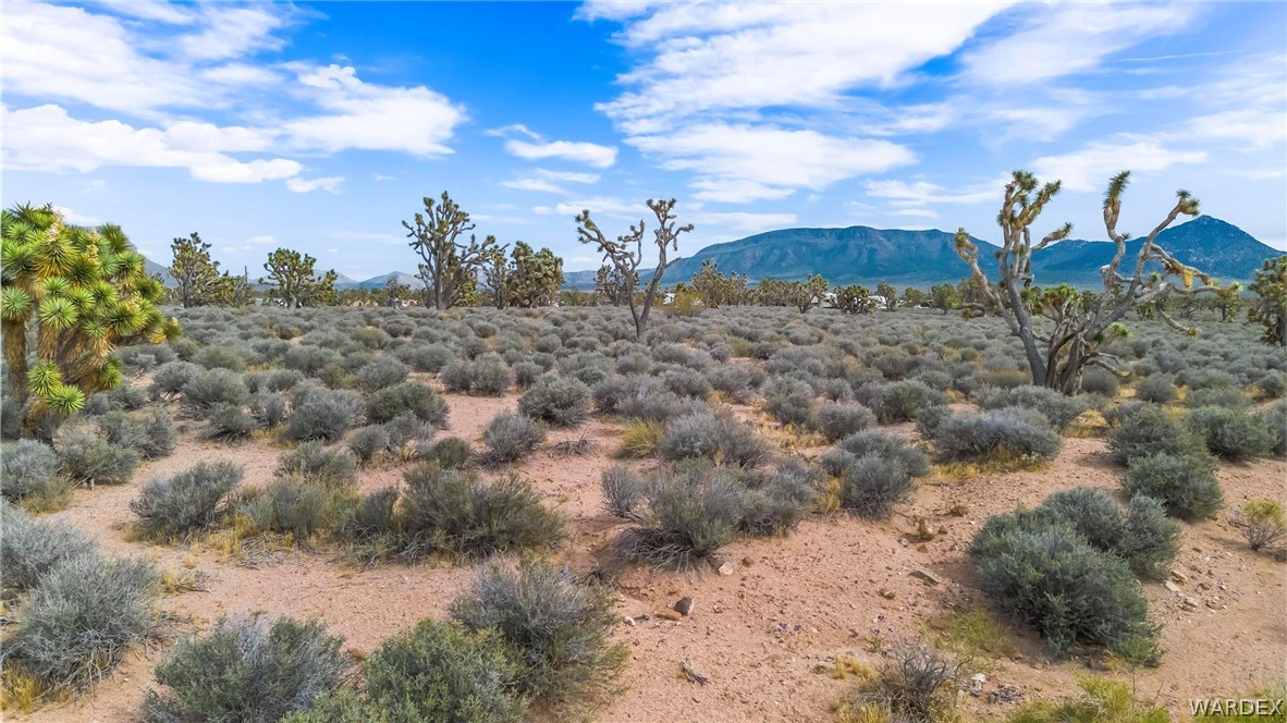 26885 Verde Meadview, AZ 86444 - Photo 13 of 31 a view of a dry yard