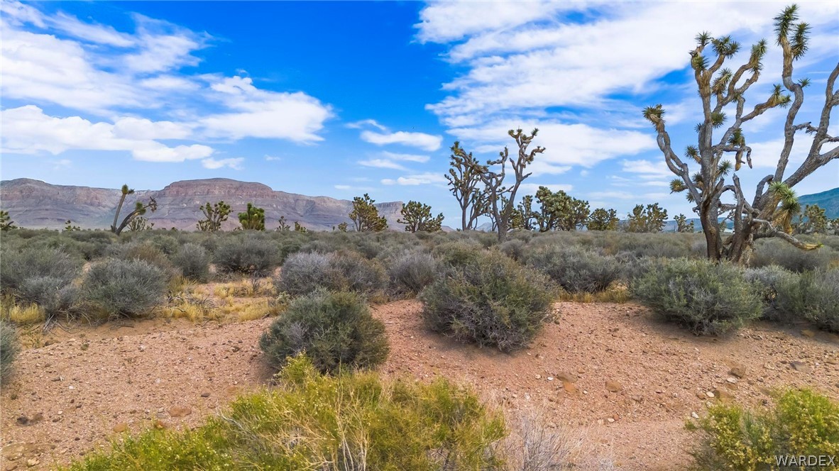 26885 Verde Meadview, AZ 86444 - Photo 25 of 31 a view of a yard with mountain and a tree