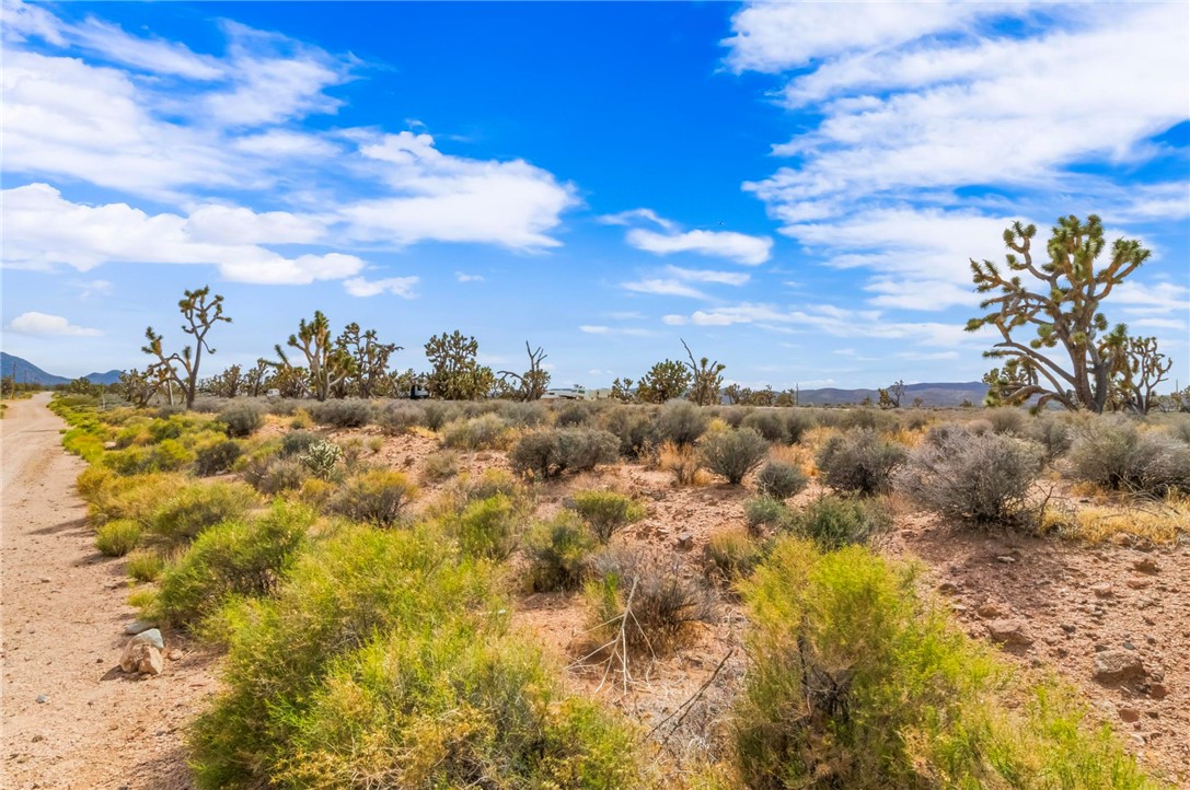 26885 Verde Meadview, AZ 86444 - Photo 29 of 31