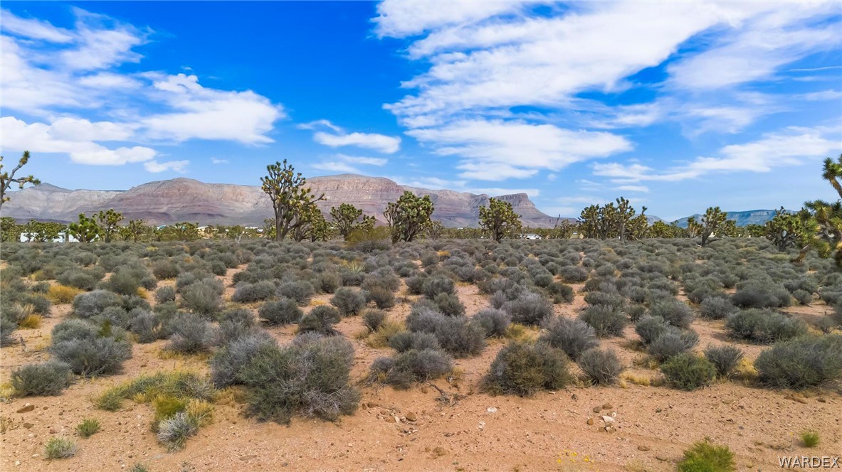 26885 Verde Meadview, AZ 86444 - Photo 9 of 31