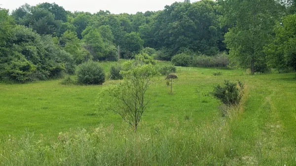 $99,900 | 9681 Southwest Greenville Road, Greenville, MI 48838