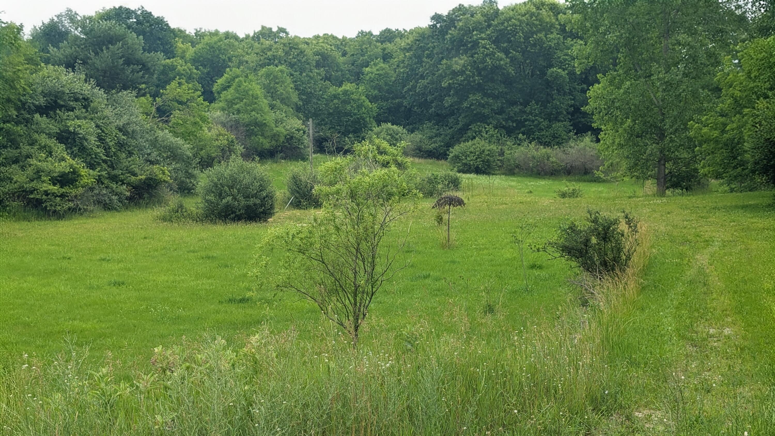 9681 Southwest Greenville Road Greenville, MI 48838 - Photo 1 of 9 1000100485