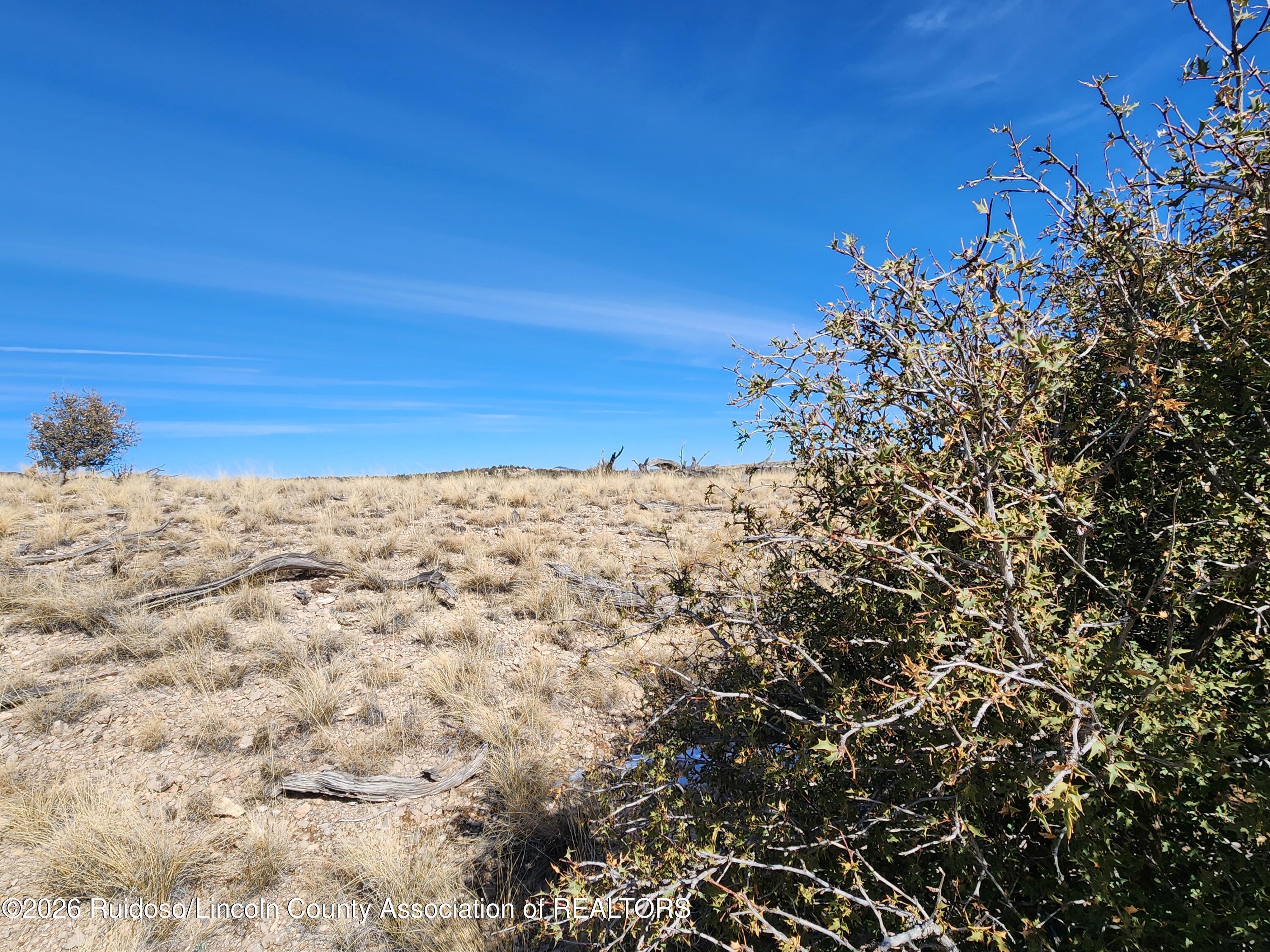 Lot 183 Windmill Road Carrizozo, NM 88301 - Photo 10 of 24 Gallery Image 10