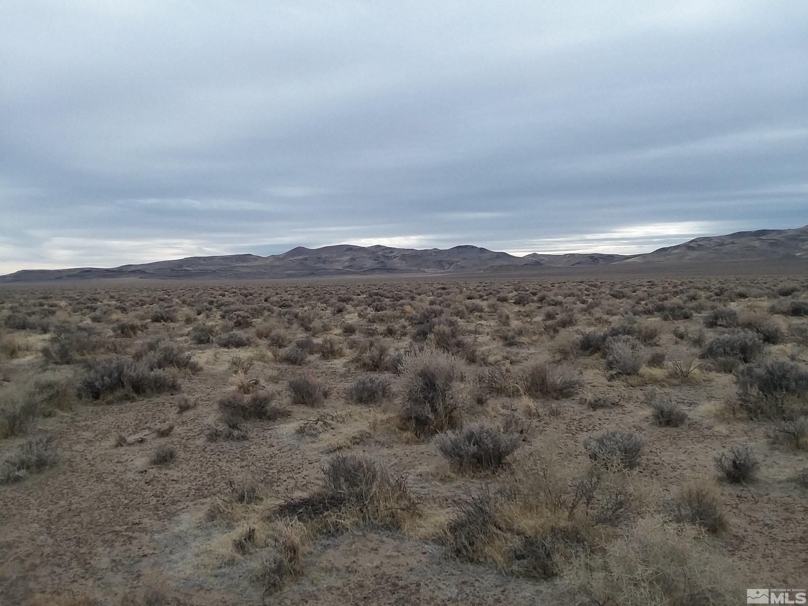 Southwest Powerline Road Fallon, NV 89406 - Photo 6 of 12 Photo 6