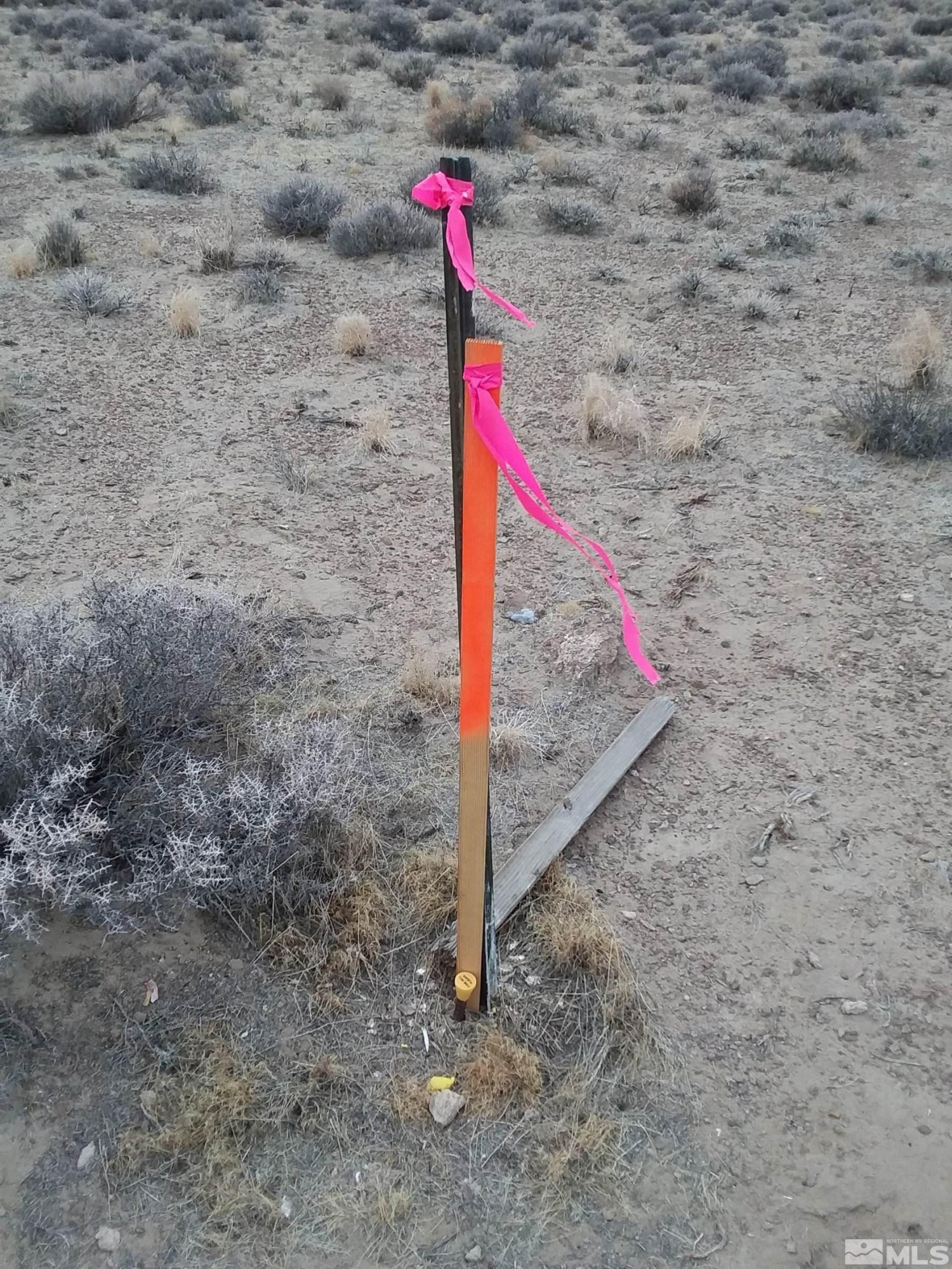 Southwest Powerline Road Fallon, NV 89406 - Photo 8 of 12 Photo 8