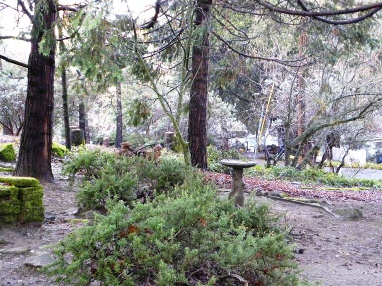 39718 Pine Ridge Way Oakhurst, CA 93644 - Photo 26 of 31 Gallery Image 26