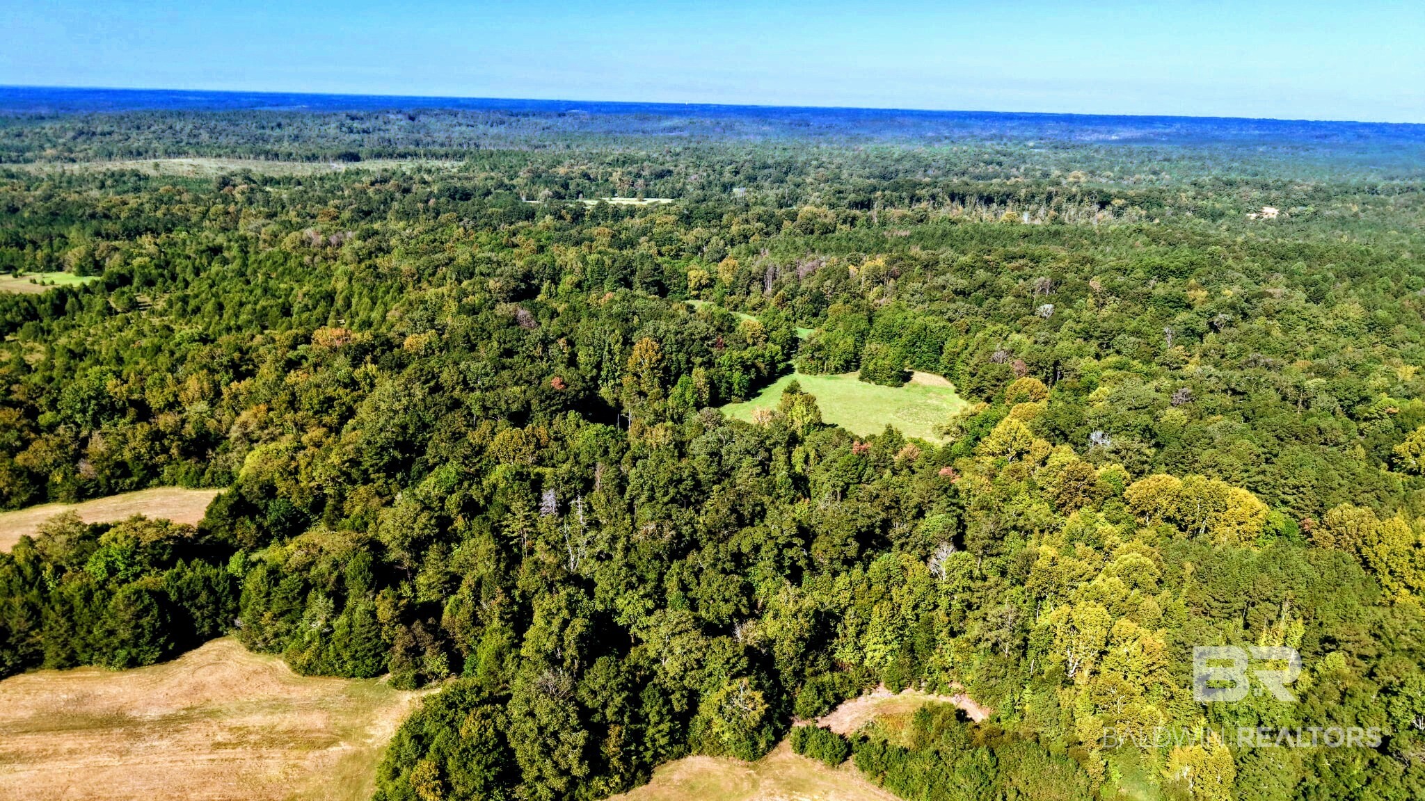 0 Highway 17 Millry, AL 36558 - Photo 46 of 73 Gallery Image 46