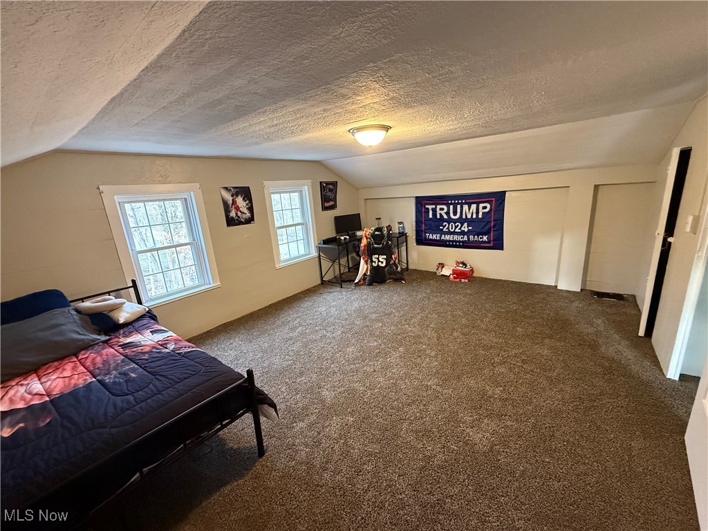 446 Warner Road Southeast Vienna, OH 44473 - Photo 27 of 32 Bedroom with lofted ceiling, a textured ceiling, and carpet flooring