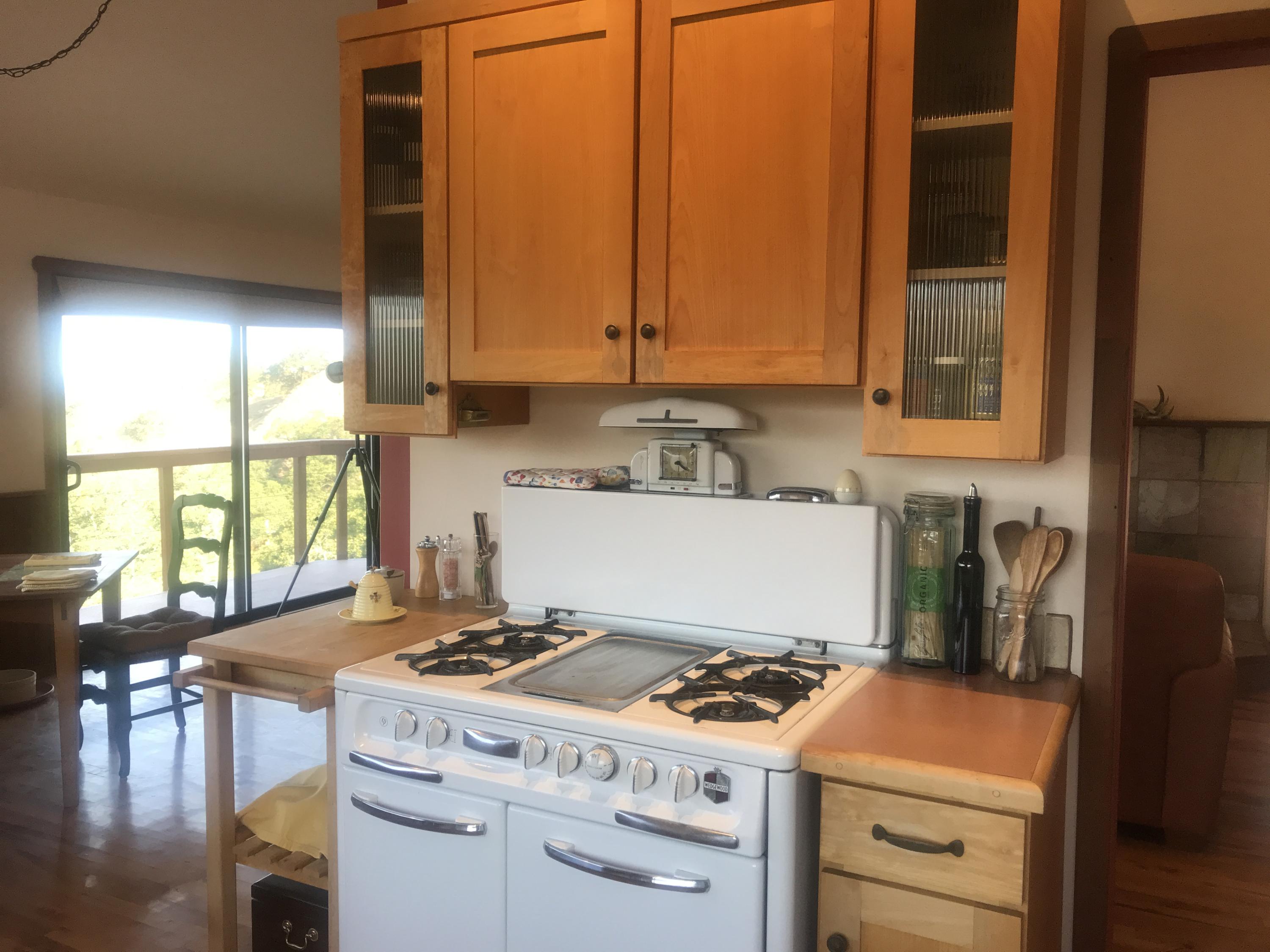 558 Homestead Road Garberville, CA 95542 - Photo 14 of 64 16 vintage Wedgewood