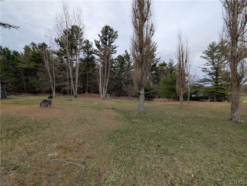 6 Shaw Road Edwards, NY 13635 - Photo 28 of 30 Plenty of room for a couple RVS