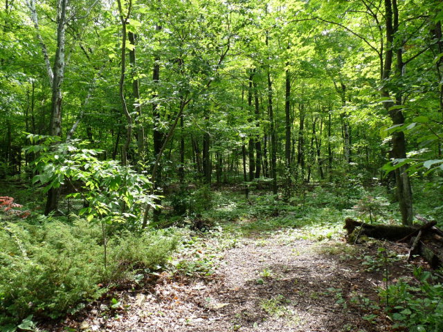 White Cliff Road Fish Creek, WI 54212 - Photo 1 of 1