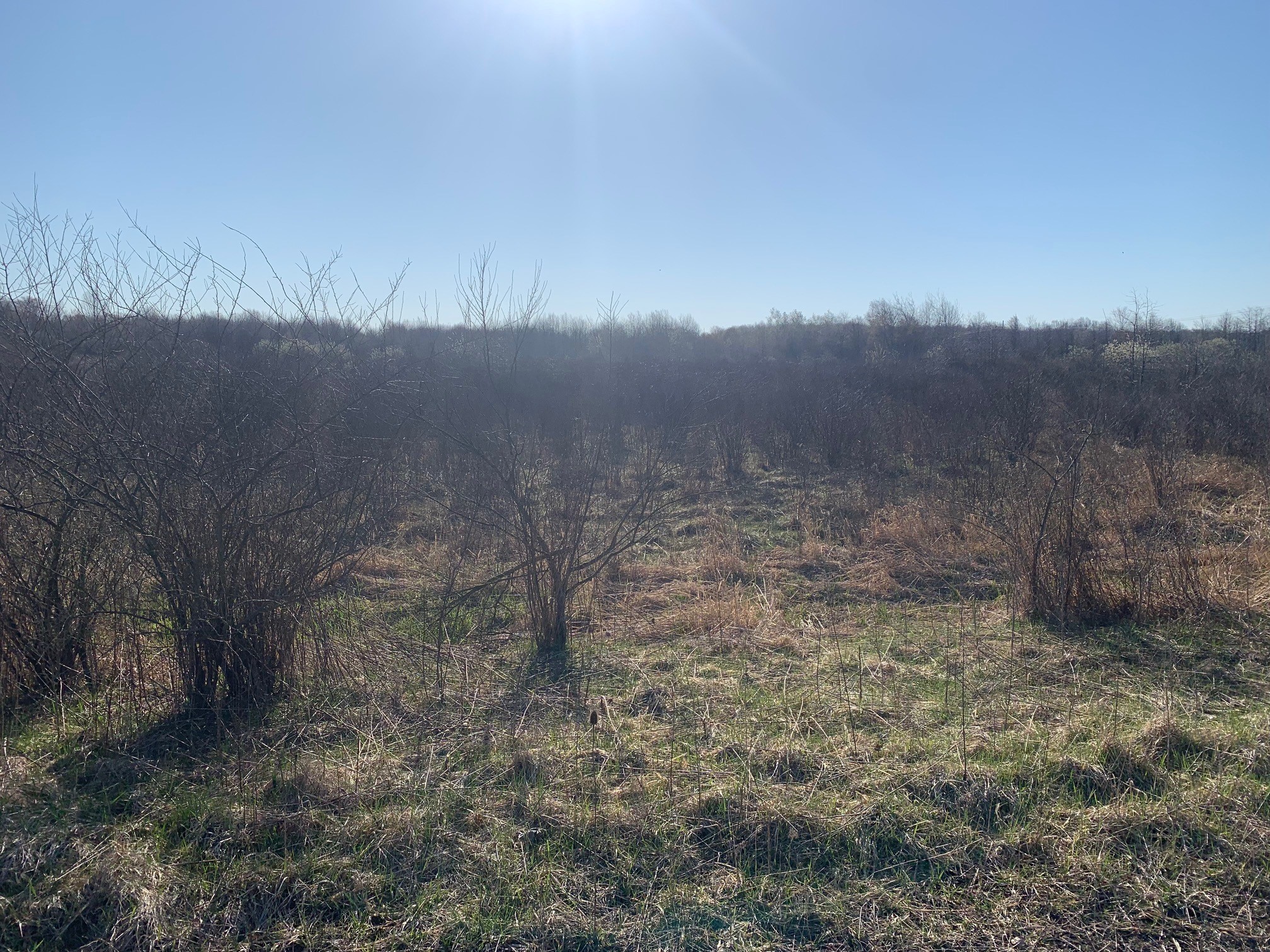 0 Powder Road Cochranton, PA 16314 - Photo 4 of 6