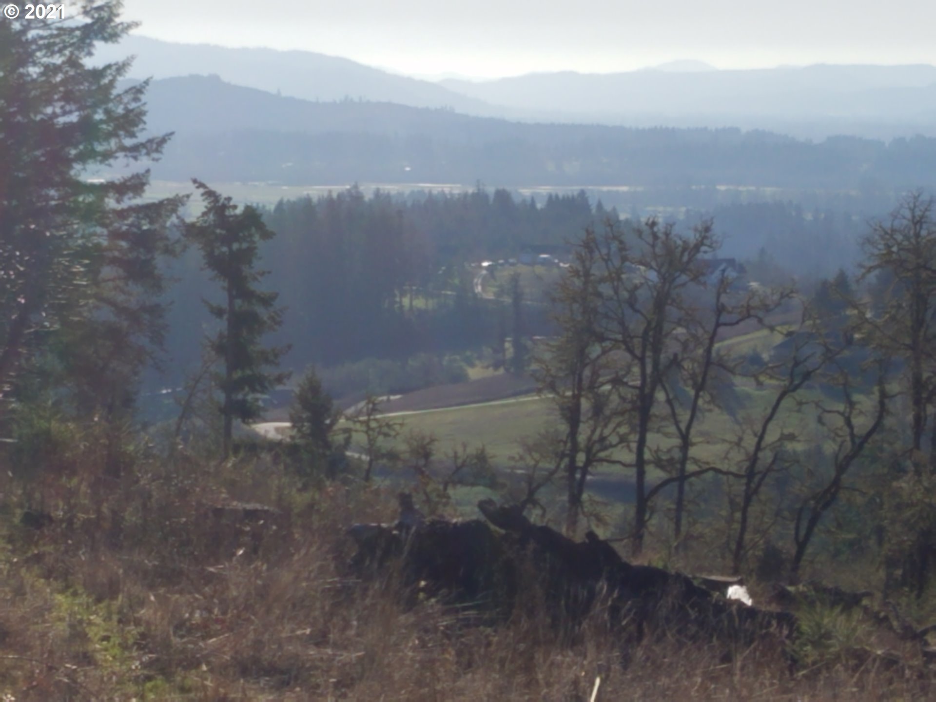 3 R R R.R. Baker Road Springfield, OR 97478 - Photo 12 of 23 a view of a city from a yard