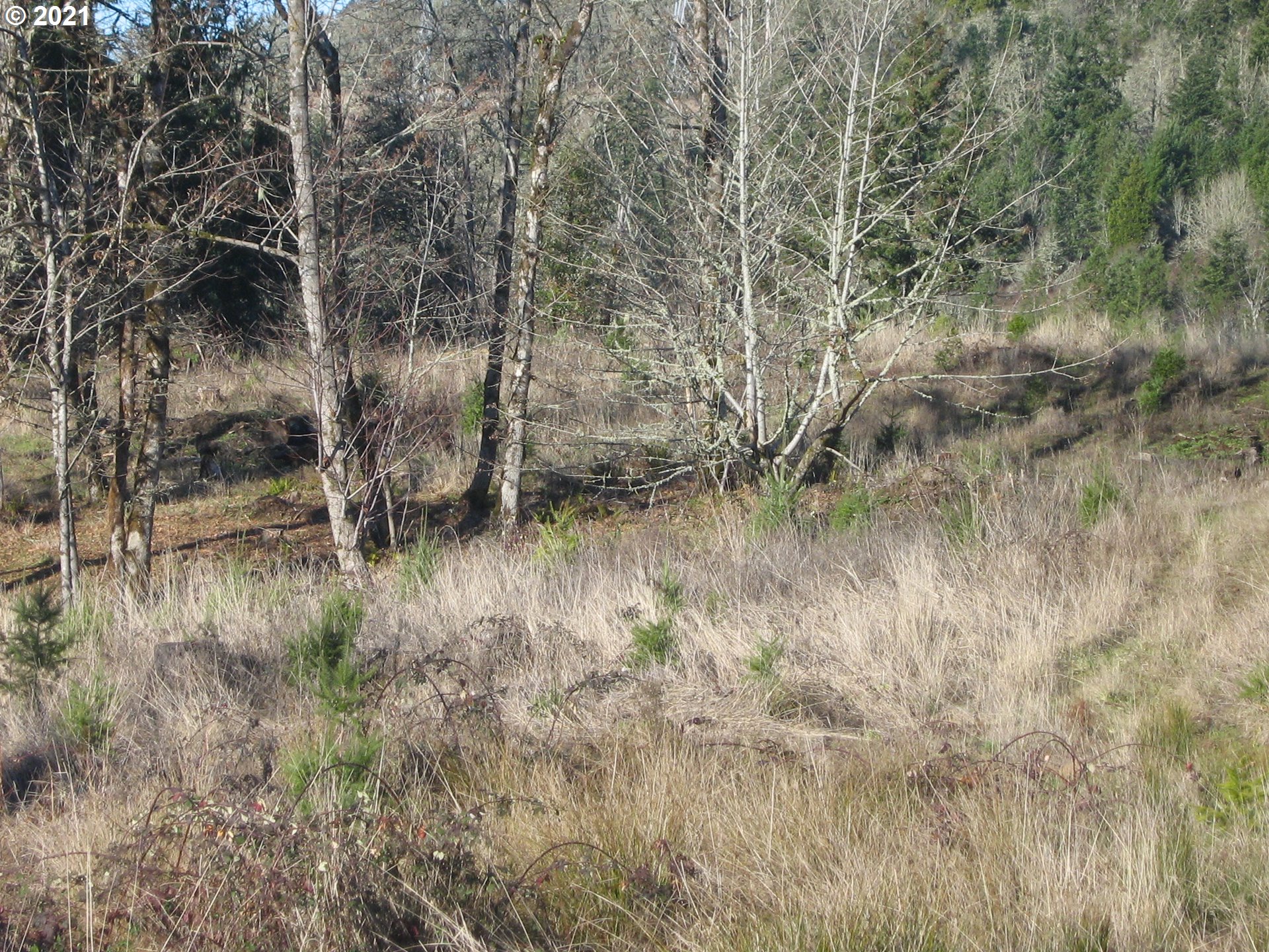3 R R R.R. Baker Road Springfield, OR 97478 - Photo 13 of 23 a view of a lake