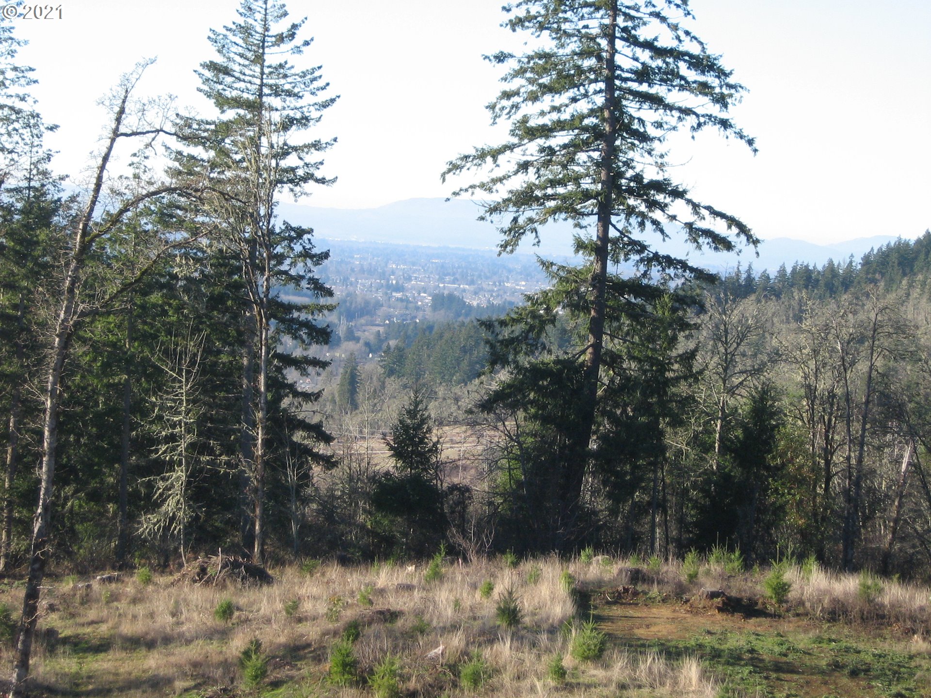 3 R R R.R. Baker Road Springfield, OR 97478 - Photo 16 of 23 a view of a lake view