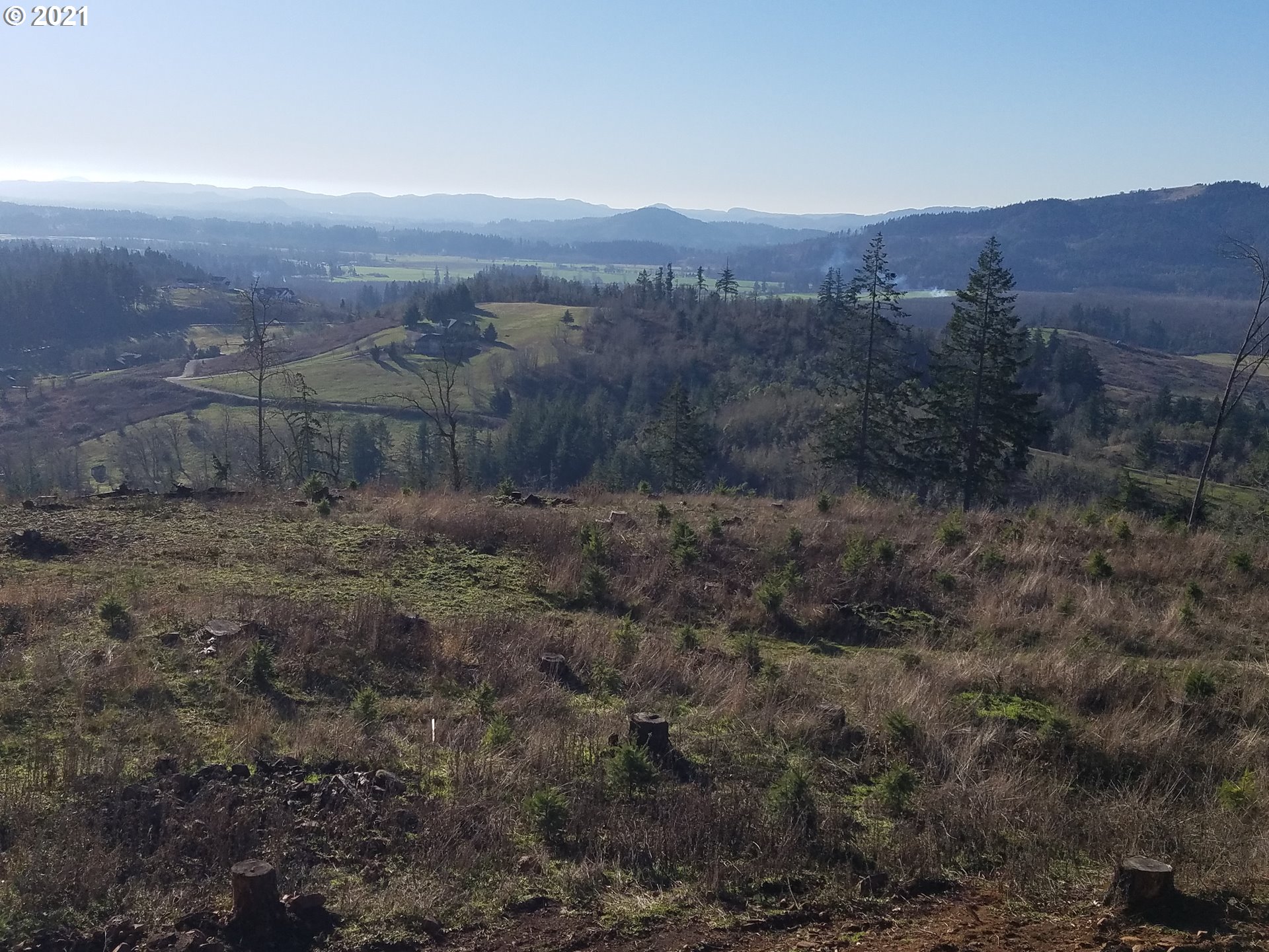 3 R R R.R. Baker Road Springfield, OR 97478 - Photo 2 of 23 a view of a dry yard with mountains in the background