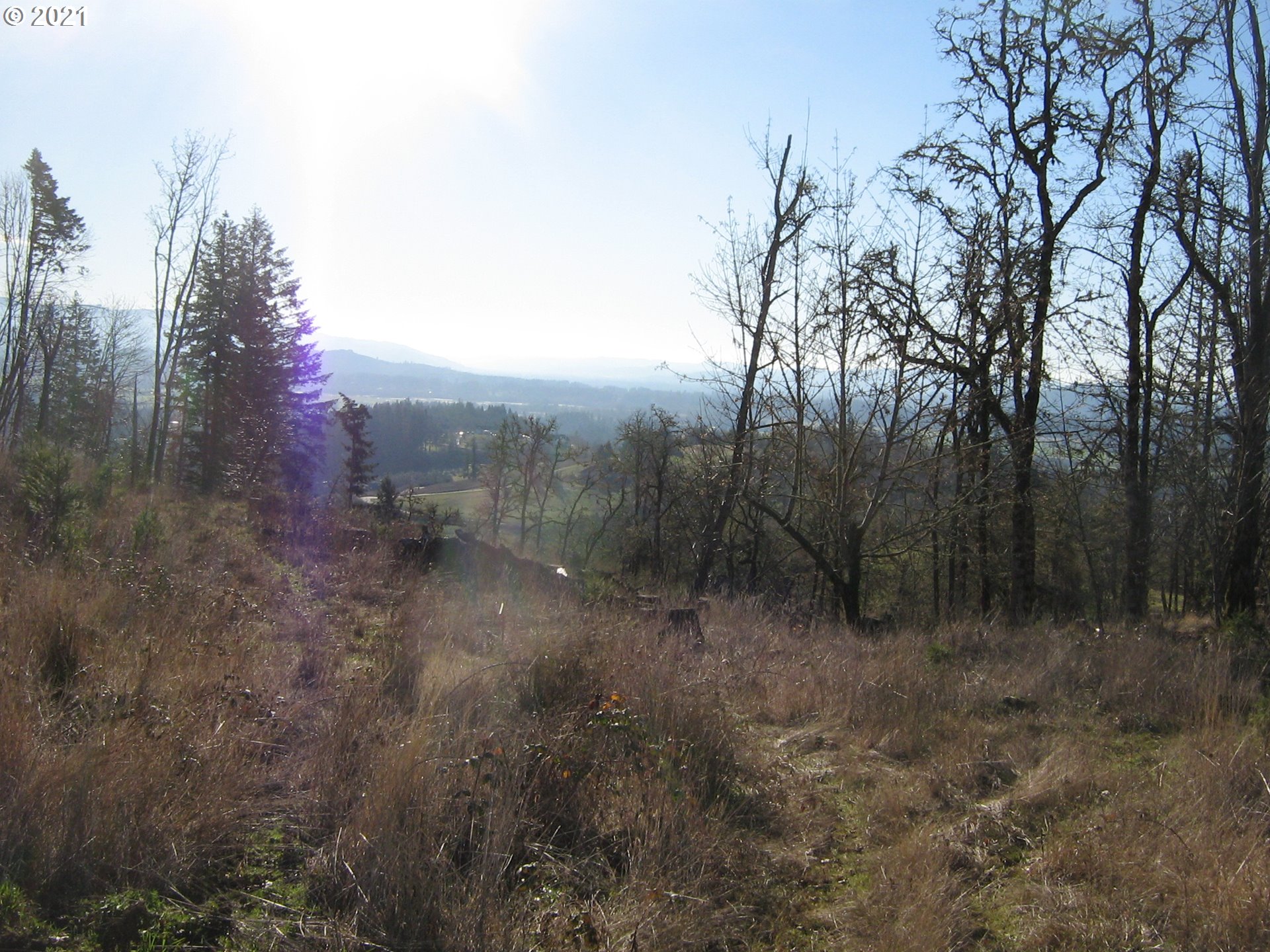 3 R R R.R. Baker Road Springfield, OR 97478 - Photo 22 of 23 a view of a forest with trees in the background