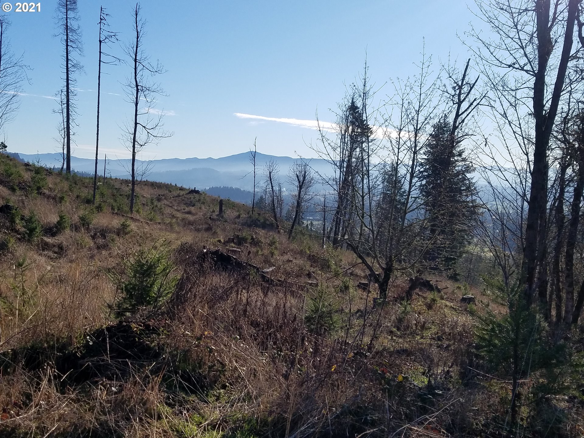 3 R R R.R. Baker Road Springfield, OR 97478 - Photo 6 of 23 a view of a backyard