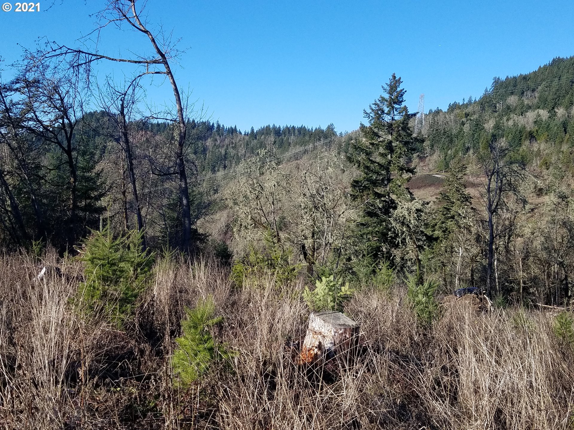 3 R R R.R. Baker Road Springfield, OR 97478 - Photo 8 of 23 a view of a yard