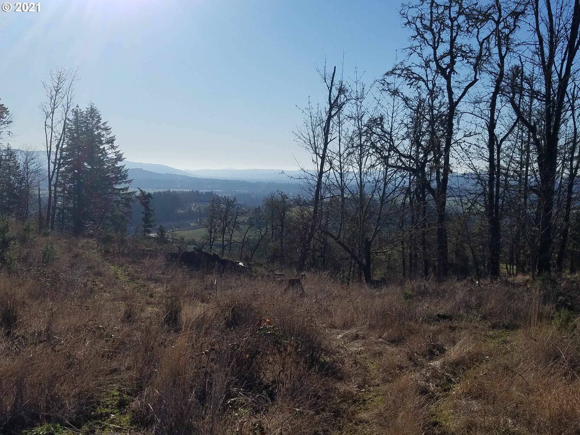 3 R R R.R. Baker Road Springfield, OR 97478 - Photo 10 of 23 a view of a forest with trees in the background