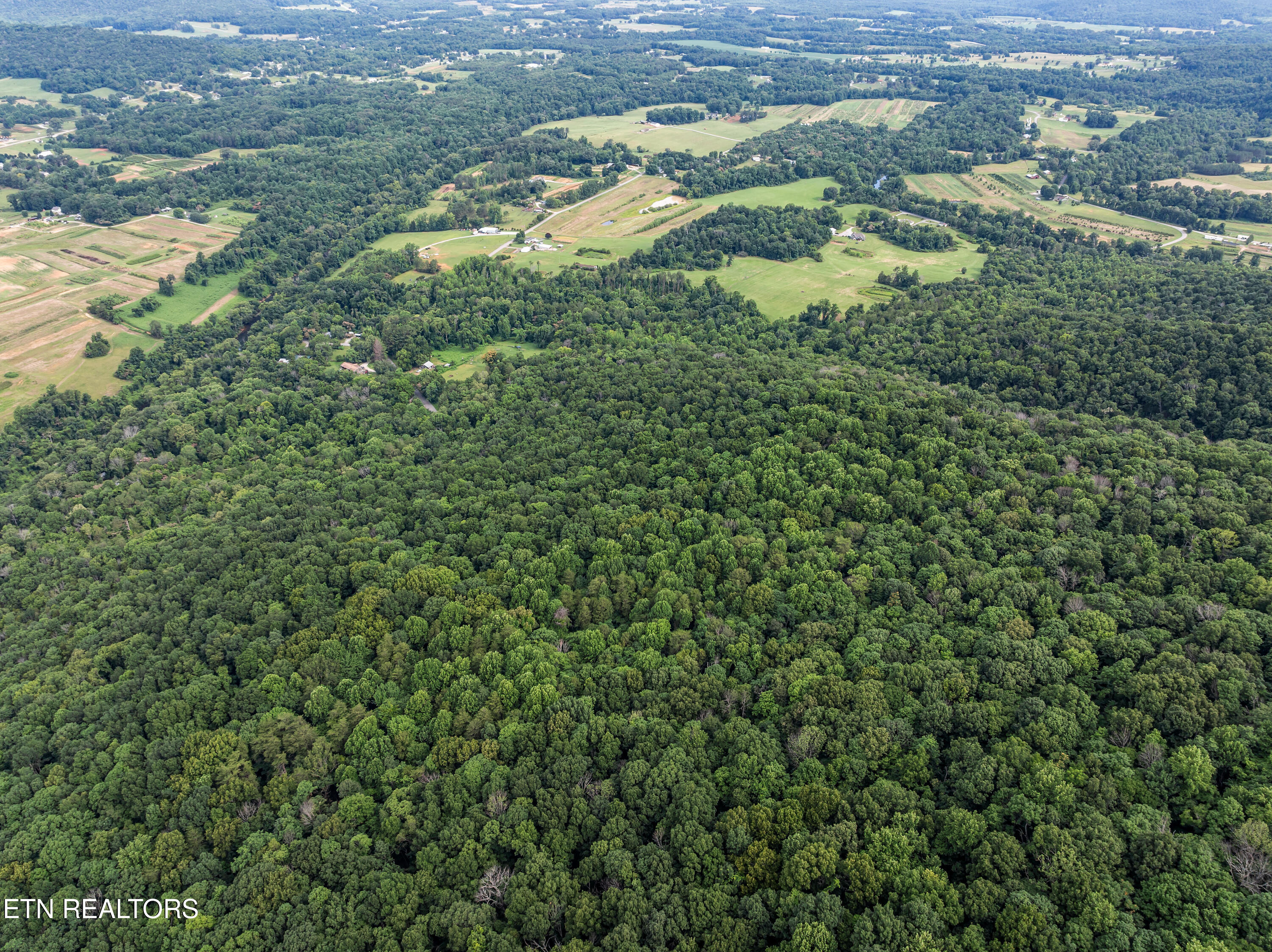 Tbd Turners Bend Road McMinnville, TN 37110 - Photo 12 of 15 McMinnville_007