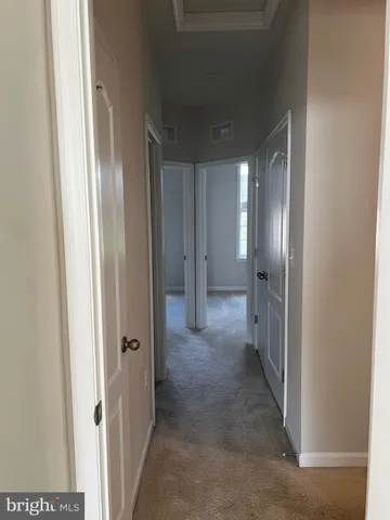 close view of walk in closet