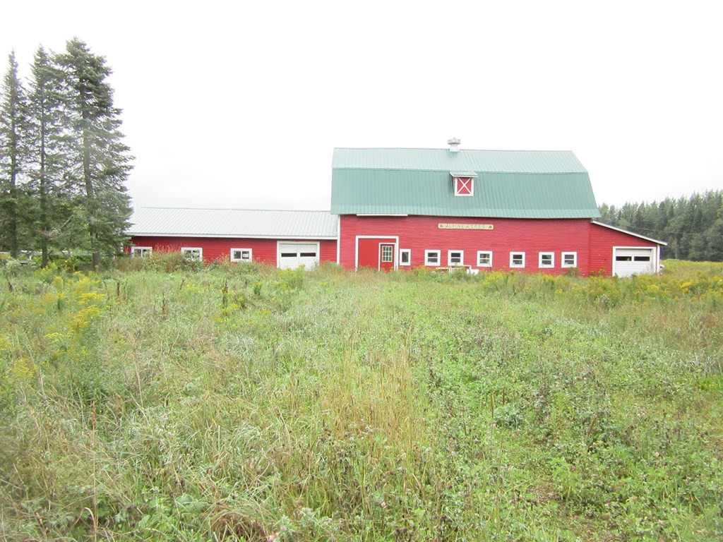86 Ragged Lake Road Owls Head, NY 12969 - Photo 2 of 3 Gallery Image 2