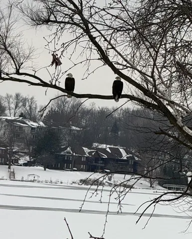 $924,998 | 1728 Beachview Court, Crown Point, IN 46307