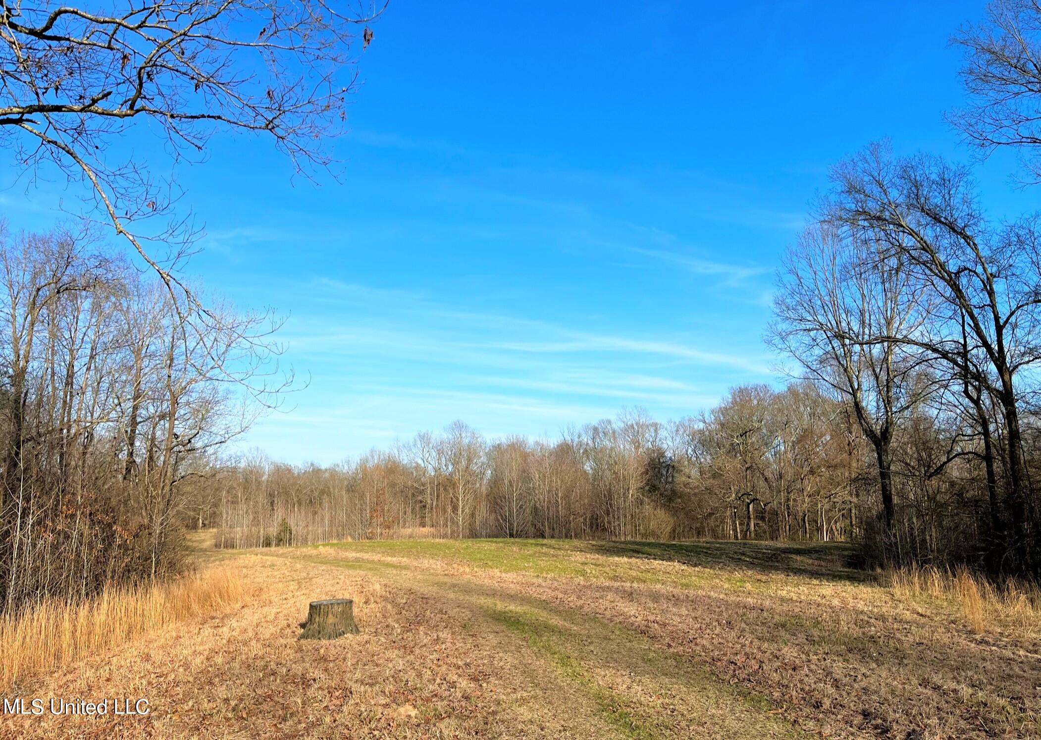 255 Nolan Road Benton, MS 39039 - Photo 26 of 48 IMG_5676