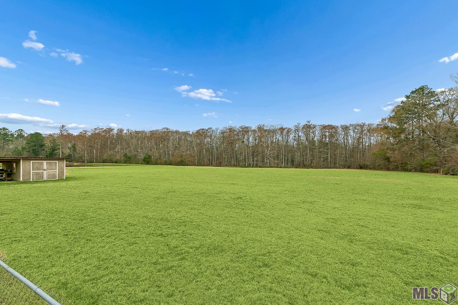 14979 Picou Road Maurepas, LA 70449 - Photo 12 of 13