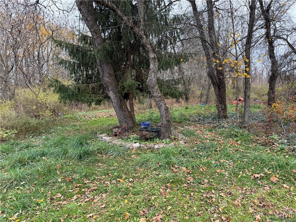 1112 Elm Street Extension Groton, NY 13073 - Photo 5 of 7