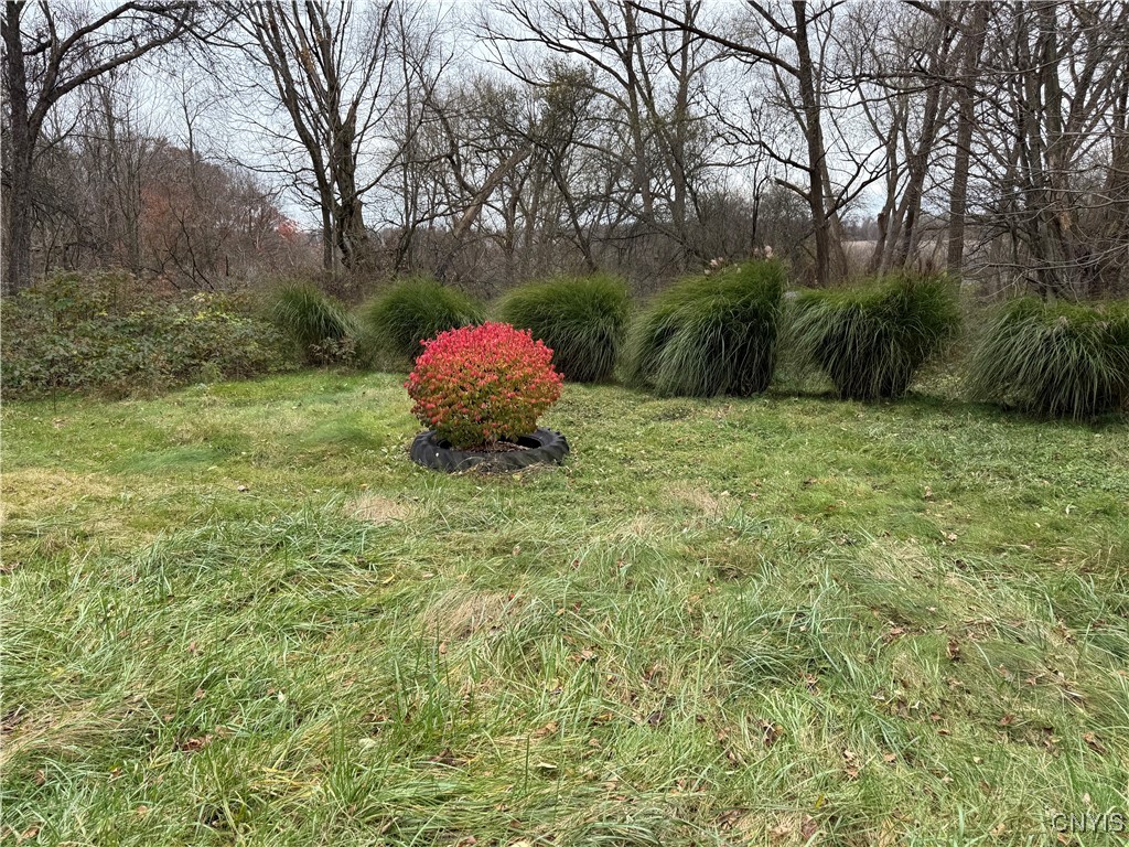 1112 Elm Street Extension Groton, NY 13073 - Photo 6 of 7