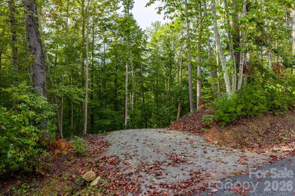 a view of a pathway of a yard with the trees